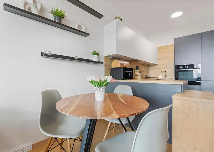 Panorama In Downtown Area With Free Parking And Castle View Bratislava